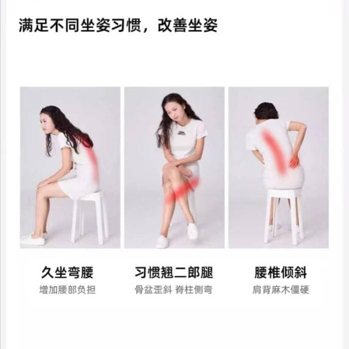  Premium Support Cushion Lower Back Pad  thumbnail 3