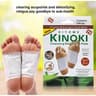 .2 Packet Kinoki Detox Foot Pads (Authentic)